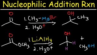 Nucleophilic Addition Reaction Mechanism Grignard Reagent NaBH4 LiAlH4 Imine Enamine Reduction [upl. by Riatsila]