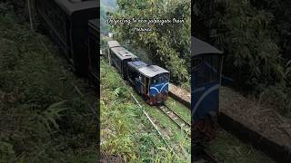 Darjeeling to new jalpaiguri train service 52540 reels2025 train toytrain railfansofindia [upl. by Tarr]