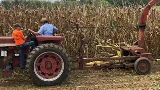 IH 666 Hydro Chopping corn 2018 [upl. by Erimahs981]