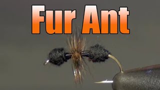 Fur Ant  Best Simple Fly For Small Brook and Cutthroat Trout [upl. by Bara]