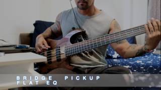 Kiesel VB5 Demo [upl. by Noiek631]