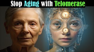 Can we Stop Aging Telomerase and Telomeres Impact Longevity 2024 [upl. by Barthel]