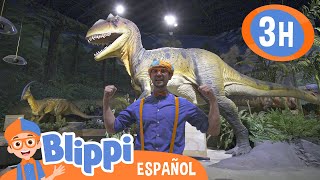 Blippi aprende sobre dinosaurios  Blippi Español  Videos educativos para niños  Aprende y Juega [upl. by Jerrylee]