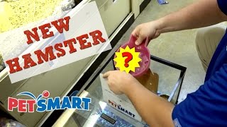 GETTING MY NEW HAMSTER AT PETSMART [upl. by Edras811]