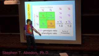 Genotypic versus Phenotypic Ratios [upl. by Sammie]