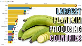 Largest plantain producing countries [upl. by Coward]