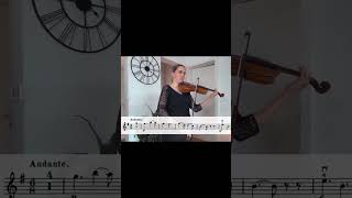 Rieding Violin Concerto in B minor Op 35 Ivana Duvnjak Akamatsu SHIVA violin duo [upl. by Anelim]