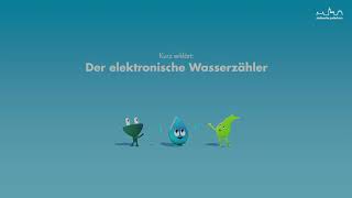 Erklärvideo zum Ablesen des elektronischen Wasserzählers [upl. by Deaner131]