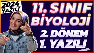 11Sınıf Biyoloji 2Dönem 1Yazılı 2024 yazılı biyoloji [upl. by Aderfla]