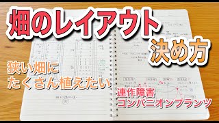 【家庭菜園】畑のレイアウト決め 計画的に沢山の野菜を植えたい♬ [upl. by Tull]