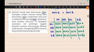 No16 Soal Hukum Mendel Pola Hereditas Biologi SMA [upl. by Lehcyar]