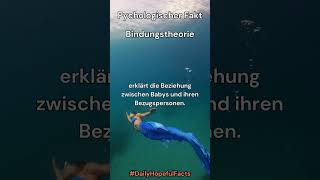 Bindungstheorie shorts short shortvideo shortsfeed [upl. by Oiramd]