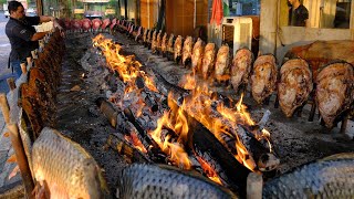 Amazing Iraqi Style Grilled Fish Around Charcoal and wood Fire  ErbilKurdistan Street Foods [upl. by Alyakim]