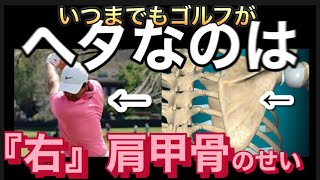 手先で打つゴルフスイングを直すための肩甲骨の使い方を解説しました！！ゴルフスイング golfswing ゴルフレッスン手先でスイングをしていてはいつまでたってもゴルフは低迷したままです！ [upl. by Idham900]