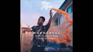 Casey Veggies ft Ty Dolla ign  Wonderful Clean [upl. by Ginevra637]