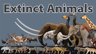 Extinct Animals Size Comparison in 2024  Prehistoric Animals Size Comparison in 2024 [upl. by Geraint776]