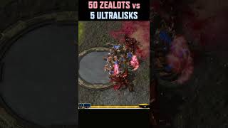 Who wins 5 Ultralisks vs 50 Zealots sc2 starcraft starcraft2 blizzard gaming [upl. by Farly]