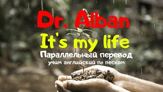 Dr Alban  Its my life Lyrics  параллельный перевод на русский язык [upl. by Yentyrb]