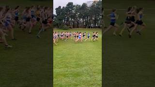 Lindsays Short Course XC U15 Girls Race Start [upl. by Airyt]