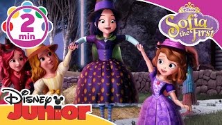 Sofia the First  Broomstick Dance  Disney Junior UK [upl. by Nannarb]