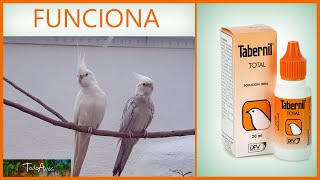 🐤 TABERNIL total VITAMINAS para PAJAROS 🐦🐦🐤 [upl. by Goraud]