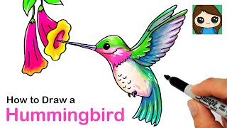 How to Draw a Hummingbird [upl. by Sukin510]