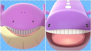 FULL WAILMER EVOLUTION TEAM Shiny Wailmer Shiny Wailord Moveset [upl. by Eanaj]