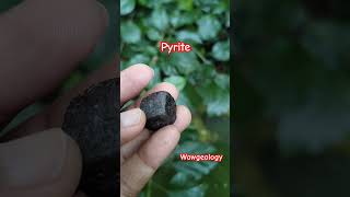 Pyrite shorts pyrite facts geology geologist youtubeshorts youtube wow crystals mineralogy [upl. by Pate]