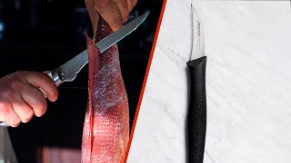 Curved vs Straight Boning Knife Which is Best for You [upl. by Weaver]