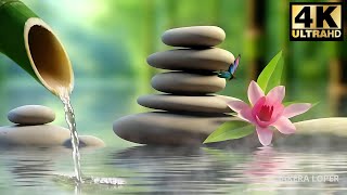 Heals and Repairs Nerve Damage • Relaxing Music Bamboo Fountain  SAKEERA LOPER [upl. by Jarin]