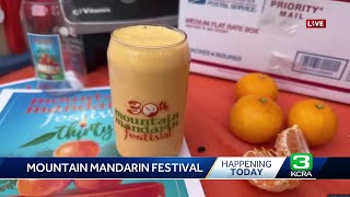 What to know about the 2023 Mountain Mandarin Festival [upl. by Africa641]