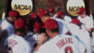 2014 South Carolina Baseball Intro [upl. by Ahcila426]