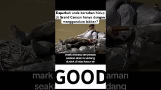 PART 4 BERTAHAN HIDUP DI GRAND CANYON MENGGUNAKAN LAKBAN 😱 shorts youtubeshorts fyp viralvideo [upl. by Minsat]