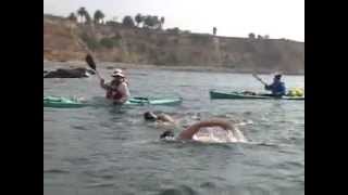 Peter Attia crossing Catalina Channel [upl. by Eila432]