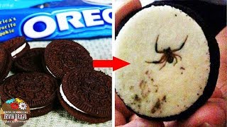 Los SECRETOS De Las GALLETAS OREO  ¿Extraño Descubrimiento En Caja De Galletas [upl. by Josepha693]