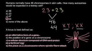 Definition of Autosome and Locus [upl. by Narej365]