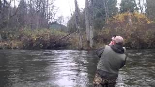 Xfactor Tackle Chum Salmon [upl. by Virgil]