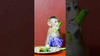 Baby eating look yummy [upl. by Boyse]