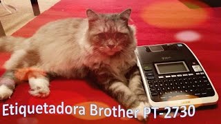 Review Etiquetadora Brother PT2730Review Label Maker Brother PT 2730 [upl. by Melar967]