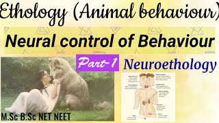 13Neural control of BehaviourNeuroethologyNervous systemNeural and hormonal control of behavior [upl. by Lleznov]