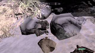 skyrim dawnstar chest glitch [upl. by Nedah]