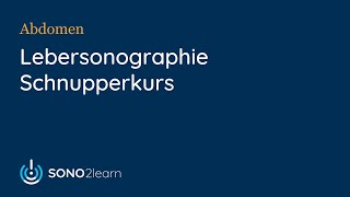 Leberultraschall Sonographie  Schnupperkurs  SONO2learn [upl. by Hubert]