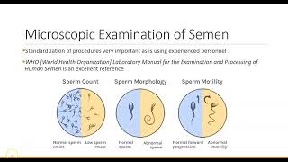 Ch 12 Seminal Fluid Analysis [upl. by Aehsal]