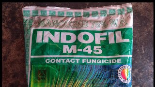 Fungicide  MANCOZEB 75 WP  Indofil M 45 [upl. by Llenrub620]