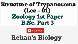 Trypanosoma gambiens Morphology amp structure By Rehan Sir BScpart3 Zoology1stPaper Trypanosoma [upl. by Ocicnarf]