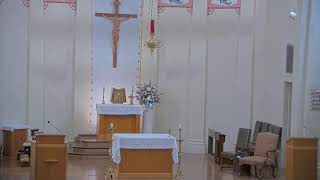 August 26 2024 at 800 am Catholic Mass from Our Lady of Peace in Vacherie LA [upl. by Willy]