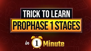 🔴PROPHASE 1 STAGES IN 1 MINUTE  EASY TRICK TO REMEMBER  BY PARAM SIR [upl. by Elleinet329]