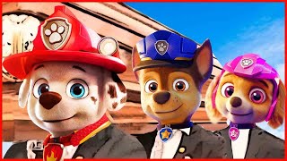 PAW PATROL  Dance SH Media SONG COVER [upl. by Noled]