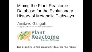 Plant Reactome Evolution of plant pathways [upl. by Geehan]