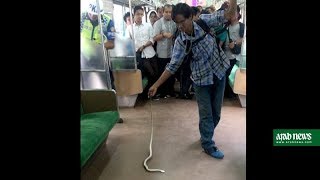 Indonesian man kills snake on train with bare hands [upl. by Nwahsad]